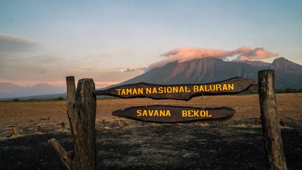 Fasilitas Pendukung dan Akomodasi di Sekitar Taman Nasional Baluran