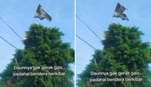 Fenomena Daun Diam Saat Salat Idul Fitri Ditetapkan Secara Ilmiah