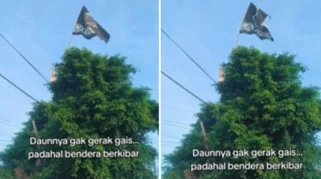 Fenomena Daun Diam Saat Salat Idul Fitri Ditetapkan Secara Ilmiah