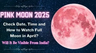 Fenomena Pink Moon April 2026: Jadwal Puncak, Cara Mengamati, dan Fakta Menarik