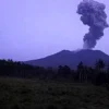 Gunung Ibu Maluku Utara Erupsi Kembali, Kolom Abu Mencapai 600 Meter