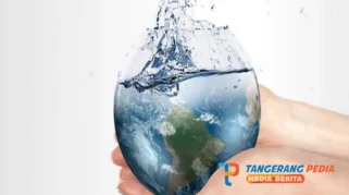 Kementan Dorong Penerapan AWD Hemat Air Hingga 20% di Musim Kemarau