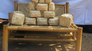 Kerajinan anyaman bambu Banyuwangi: Sejarah dan Perkembangan