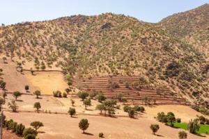 Keunggulan Hidup di Lereng Pegunungan Iran: Faktor Alam, Ekonomi, dan Kebudayaan