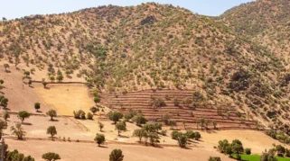 Keunggulan Hidup di Lereng Pegunungan Iran: Faktor Alam, Ekonomi, dan Kebudayaan