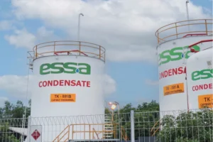 Laba Bersih Boy Thohir Merosot Lebih dari 60%: ADRO, AADI, dan ESSA Terpuruk di Kuartal Terakhir