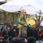 Logo Kabupaten Banyuwani Tampilkan Kebanggaan Budaya Lewat Ritual Seblang Olehsari