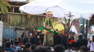 Logo Kabupaten Banyuwani Tampilkan Kebanggaan Budaya Lewat Ritual Seblang Olehsari