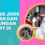Hotel di Banyuwangi dengan layanan laundry 24 jam: Panduan lengkap