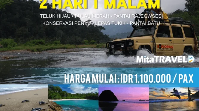 Paket tour Sukamade Banyuwangi: Apa yang Ditawarkan?