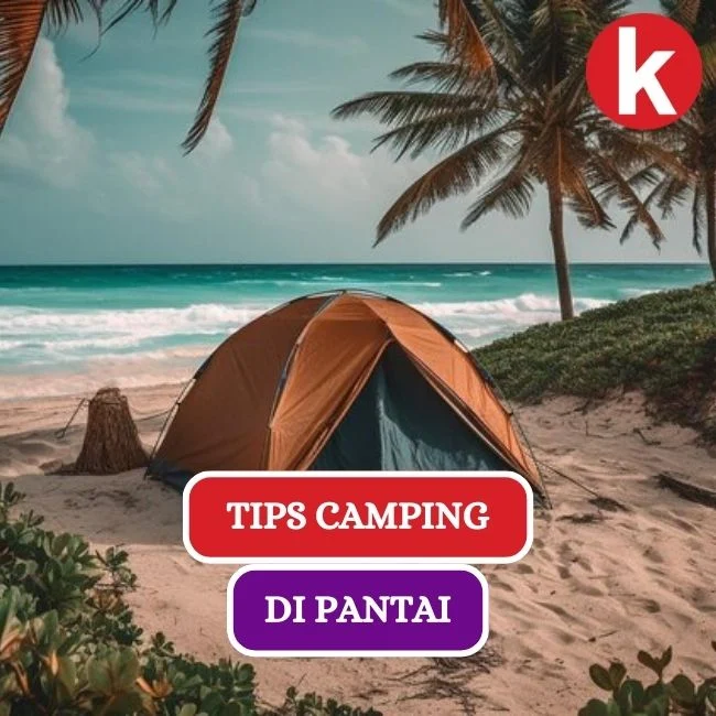 Panduan camping di Pantai Plengkung (G‑Land): Aktivitas Selama di Lokasi