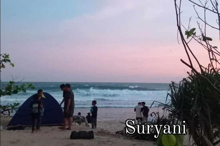 Pengalaman Camping di Sukamade: Aktivitas Utama Selama di Pantai