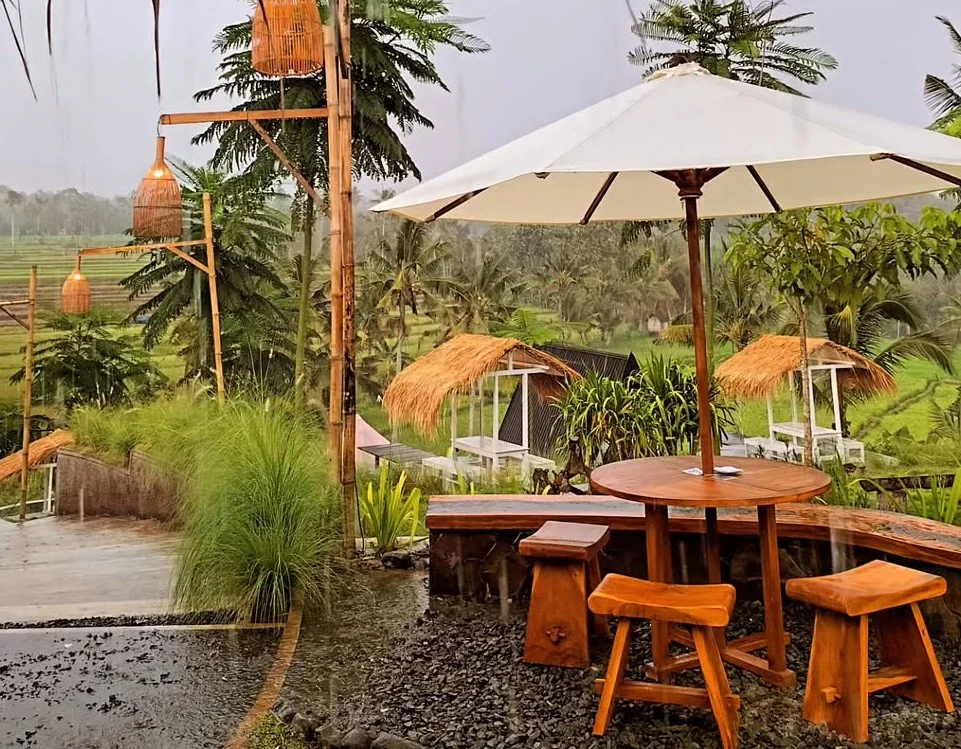 Pengalaman Pribadi: Menikmati Kopi Tanpa Ribet di Banyuwangi