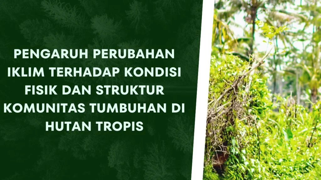 Pengaruh Lingkungan dan Komunitas Terhadap Pertumbuhan Tempat Nongkrong di Banyuwangi