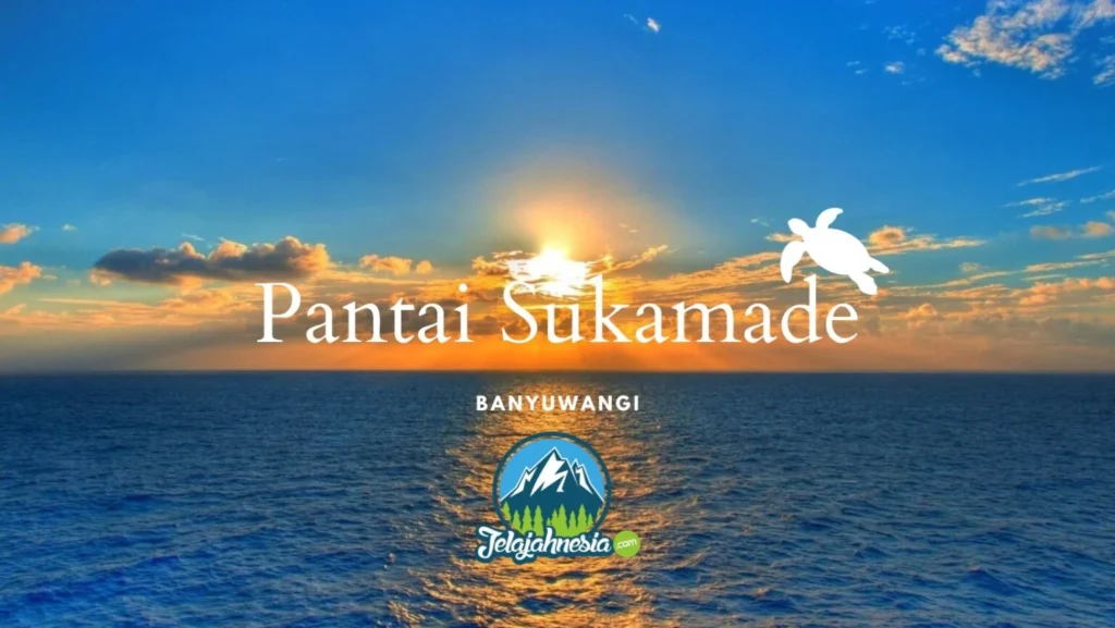 Pengaruh Pantai Sukamade Banyuwangi terhadap Konservasi dan Ekowisata