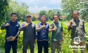 Perhutani KPH Balapulang Lakukan Pengecekan Personil Piket di Pos PL RPH Ciawitali, BKPH Linggapada