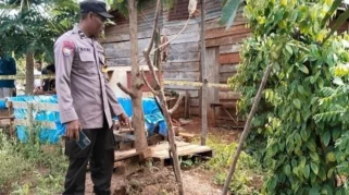 Petani 32 Tahun Ditemukan Tewas Gantung Diri di Kebun Sumbawa Setelah Hilang Seminggu