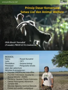 Program Konservasi Satwa Liar di Baluran: Upaya, Tantangan, dan Harapan