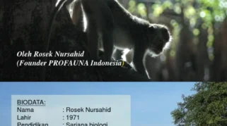 Program Konservasi Satwa Liar di Baluran: Upaya, Tantangan, dan Harapan