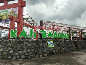 Ribuan Warga Pasuruan Tolak Pembangunan Wisata Alam Terpadu di Lereng Gunung Arjuna