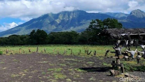 Rute dan Spot Foto Populer di Taman Nasional Baluran
