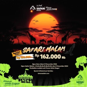 Safari Malam di Taman Nasional Baluran: Petualangan Tak Terlupakan