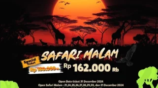 Safari Malam di Taman Nasional Baluran: Petualangan Tak Terlupakan