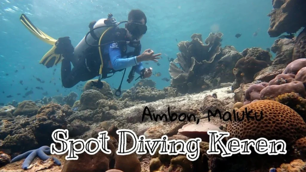 Spot diving terbaik di Banyuwangi: Menyelam di Surga Tersembunyi