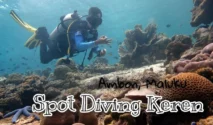 Spot diving terbaik di Banyuwangi: Menyelam di Surga Tersembunyi
