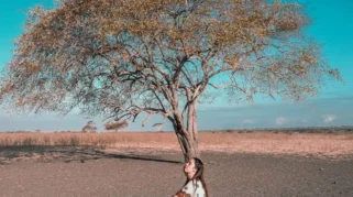 Spot foto instagramable di Baluran: Panduan Lengkap untuk Setiap Penggemar