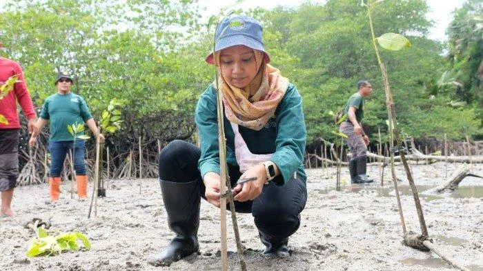 Strategi Pemotretan di Baluran: Menyesuaikan Peralatan dengan Lingkungan