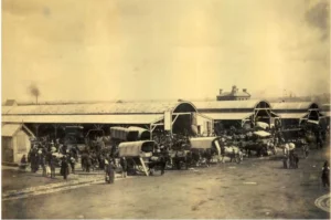 Swop’s Grand South Melbourne Store Opens Amid Food Trends and Sports Highlights