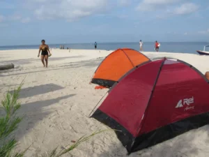 Tempat Penyewaan Tenda di Sekitar Pantai Sukamade – Panduan Lengkap untuk Liburan Outdoor