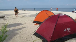 Tempat Penyewaan Tenda di Sekitar Pantai Sukamade – Panduan Lengkap untuk Liburan Outdoor