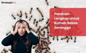Tips Menghindari Serangga di Baluran: Panduan Praktis untuk Petualangan Nyaman
