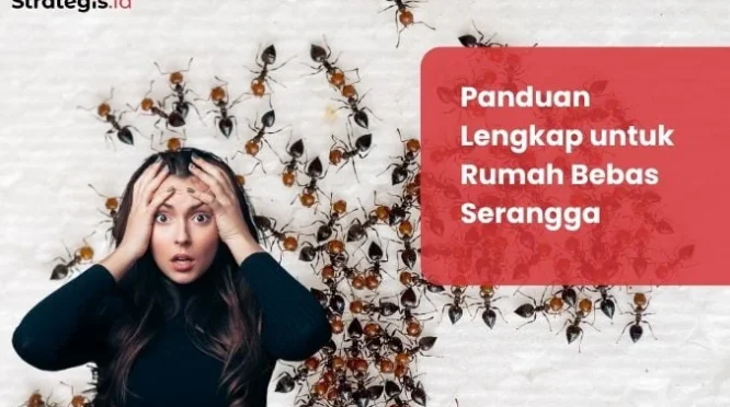Tips Menghindari Serangga di Baluran: Panduan Praktis untuk Petualangan Nyaman