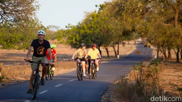 Tips praktis agar proses izin foto komersial di Baluran berjalan mulus