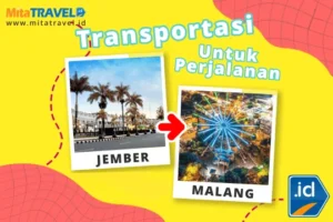 Transportasi Umum ke Baluran dari Malang: Panduan Lengkap & Praktis