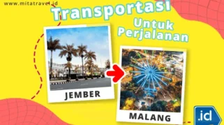 Transportasi Umum ke Baluran dari Malang: Panduan Lengkap & Praktis