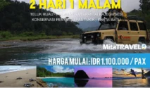 Transportasi umum ke Sukamade Banyuwangi: Pilihan Terbaik