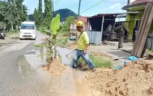 Warga Gadingan Tanam Pisang sebagai Protes Jalan Rusak, Pemerintah Siapkan Betonisasi