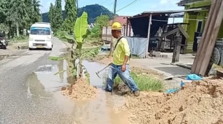 Warga Gadingan Tanam Pisang sebagai Protes Jalan Rusak, Pemerintah Siapkan Betonisasi