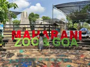 Wisata Bahari Lamongan Ramai di Hari Kedua Lebaran, Namun Maharani Zoo Tetap Sepi di Jalan Daendels
