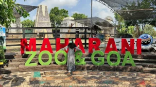 Wisata Bahari Lamongan Ramai di Hari Kedua Lebaran, Namun Maharani Zoo Tetap Sepi di Jalan Daendels