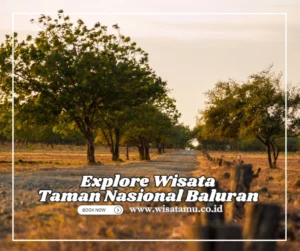 Wisata Baluran dengan Kendaraan 4x4: Panduan Lengkap Petualangan Alam