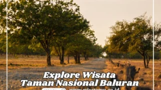 Wisata Baluran dengan Kendaraan 4x4: Panduan Lengkap Petualangan Alam