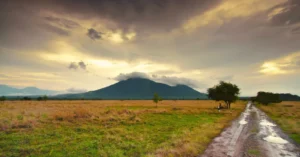 wisata baluran di musim hujan aman atau tidak? Panduan Lengkap