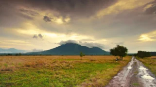 wisata baluran di musim hujan aman atau tidak? Panduan Lengkap