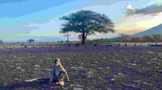 Wisata Baluran untuk Fotografi Alam: Panduan Lengkap bagi Pecinta Foto