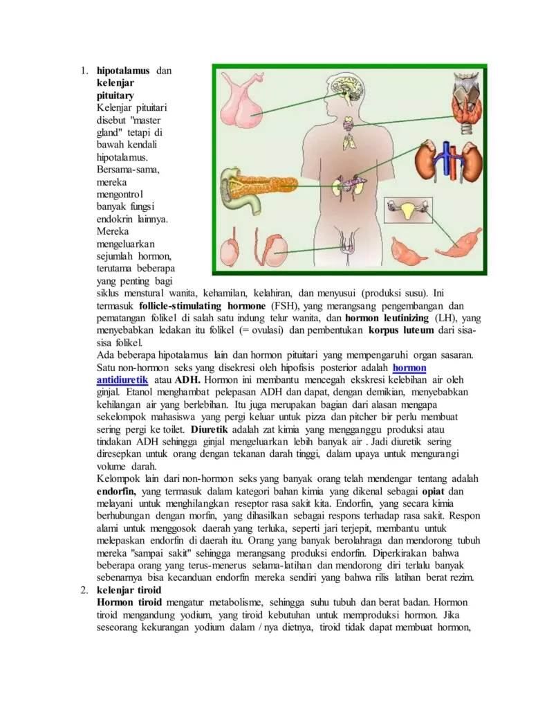 Aktivitas Lain di Sekitar G‑Land